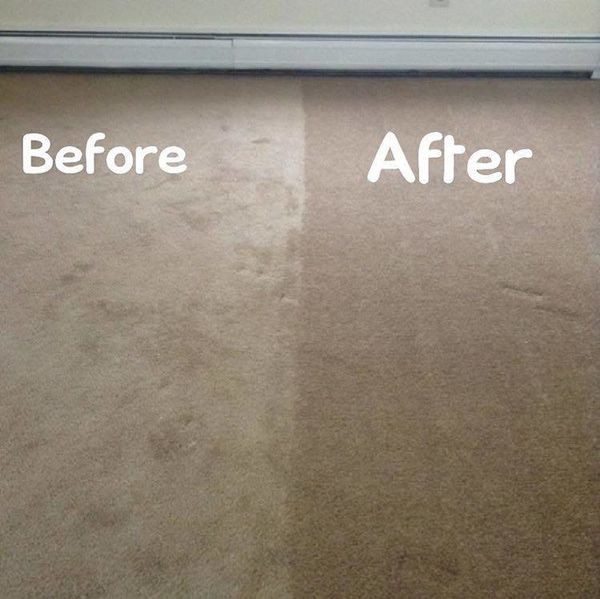 Carpet Cleaning in Branford, CT (1)