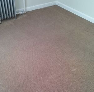 Before & After Carpet Cleaning in New Haven, CT (2)