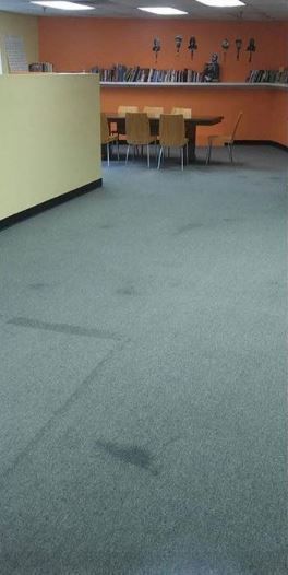 Before & After Carpet Cleaning by Pride Cleaning Pros LLC (1)